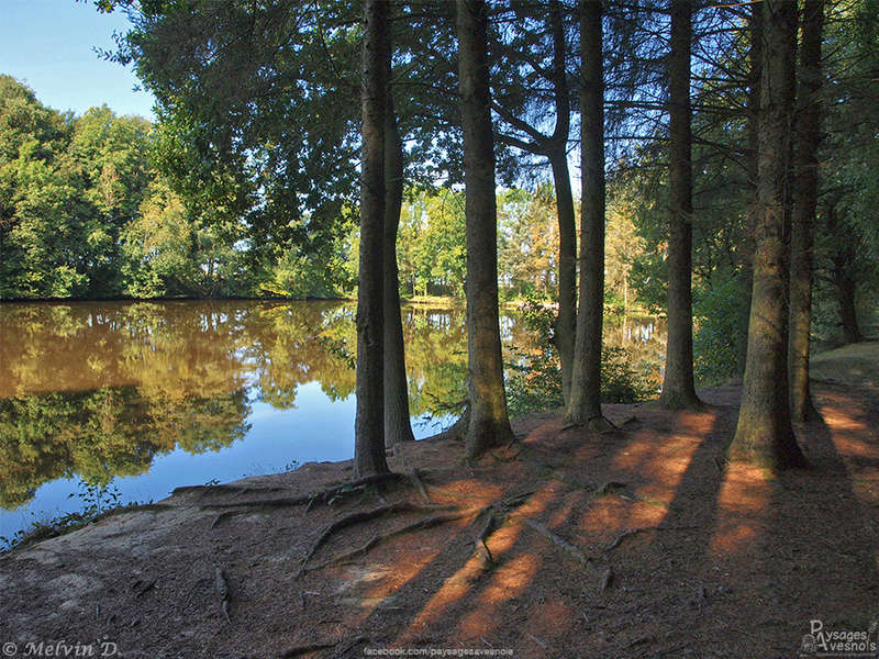 Image hébergée par servimg.com