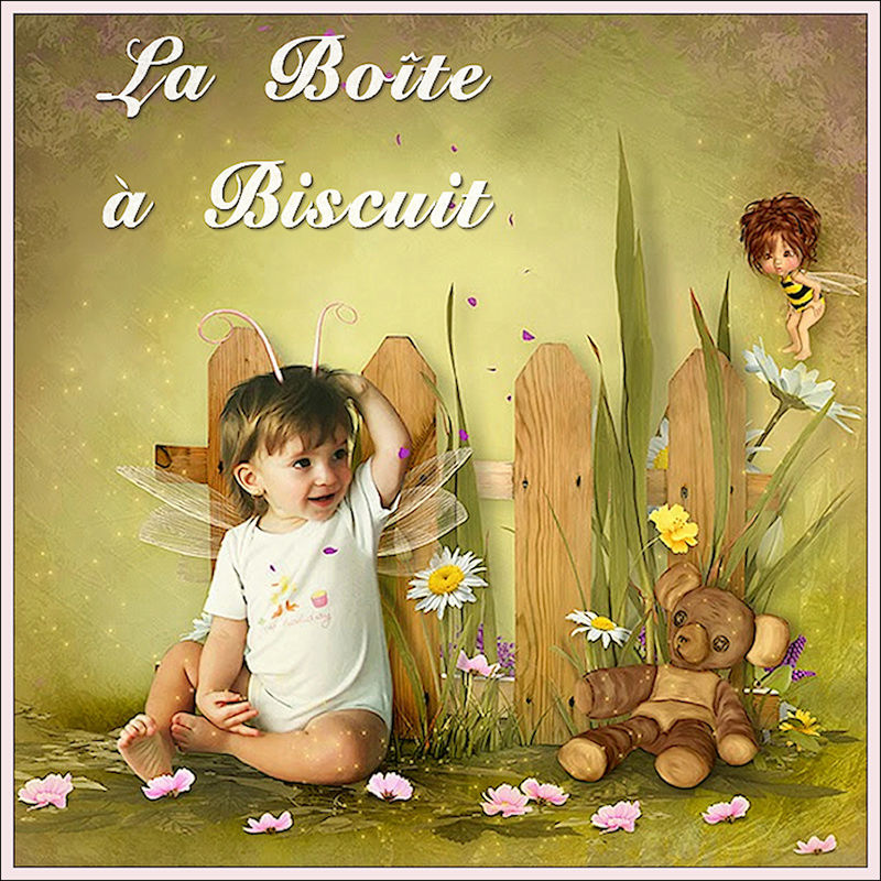 La Boîte à Biscuit
