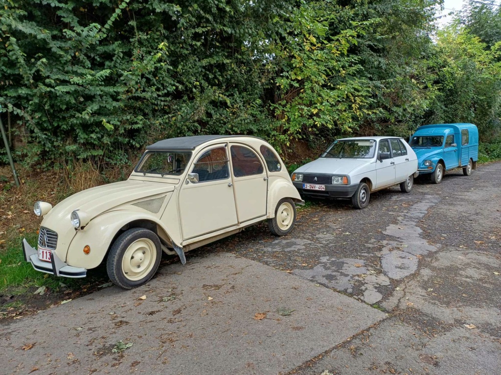 46024910.jpg