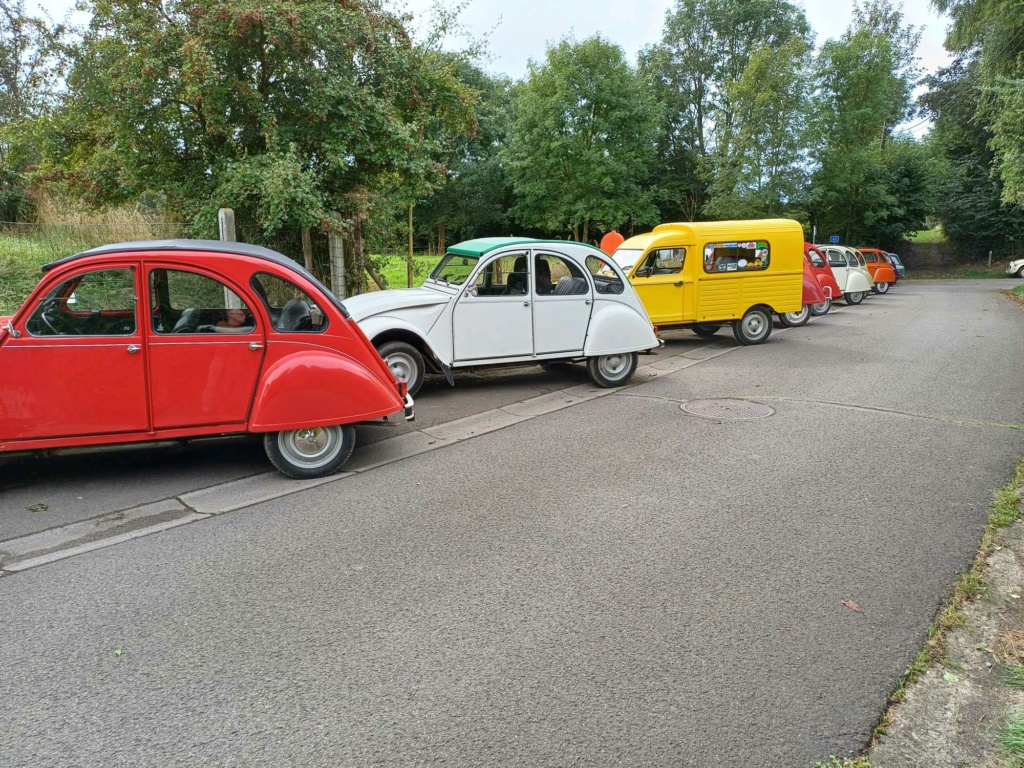 46129610.jpg