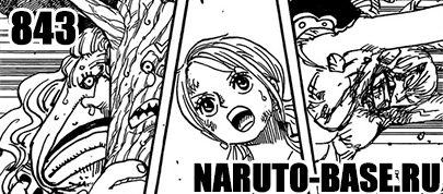 Скачать Манга Ван Пис 843 / One Piece Manga 843 глава онлайн