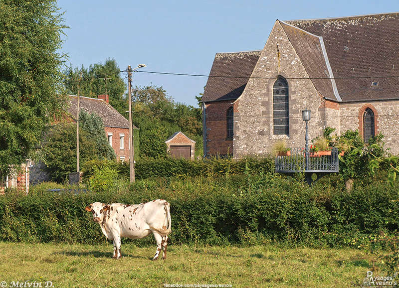 Image hébergée par servimg.com