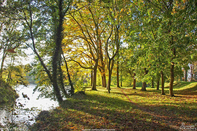 Image hébergée par servimg.com