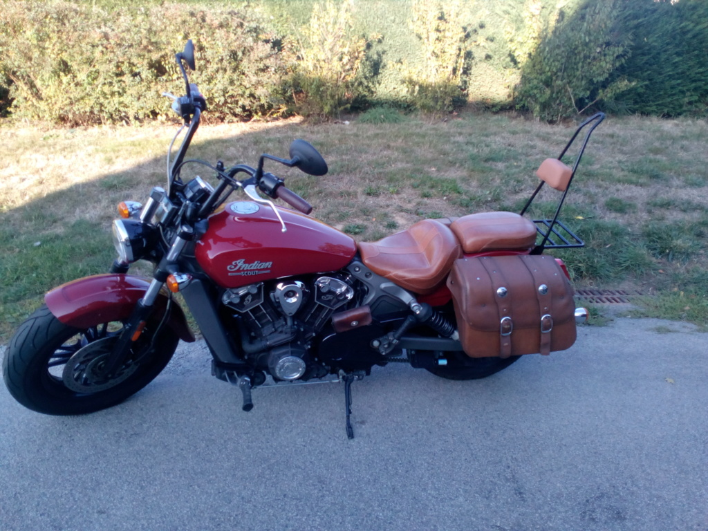 dean speed sissy bar indian scout bobber