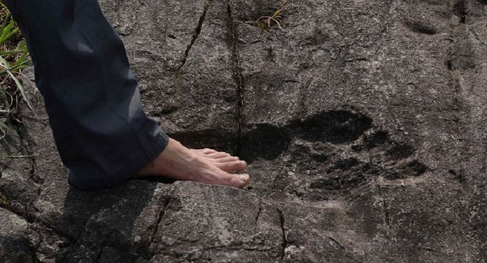 Giant Footprints Found in China Embedded in Rock (Photos & Article Inside)