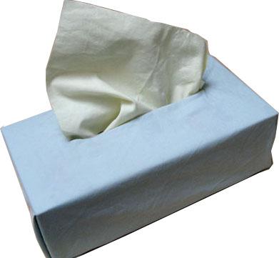 tissue10.jpg