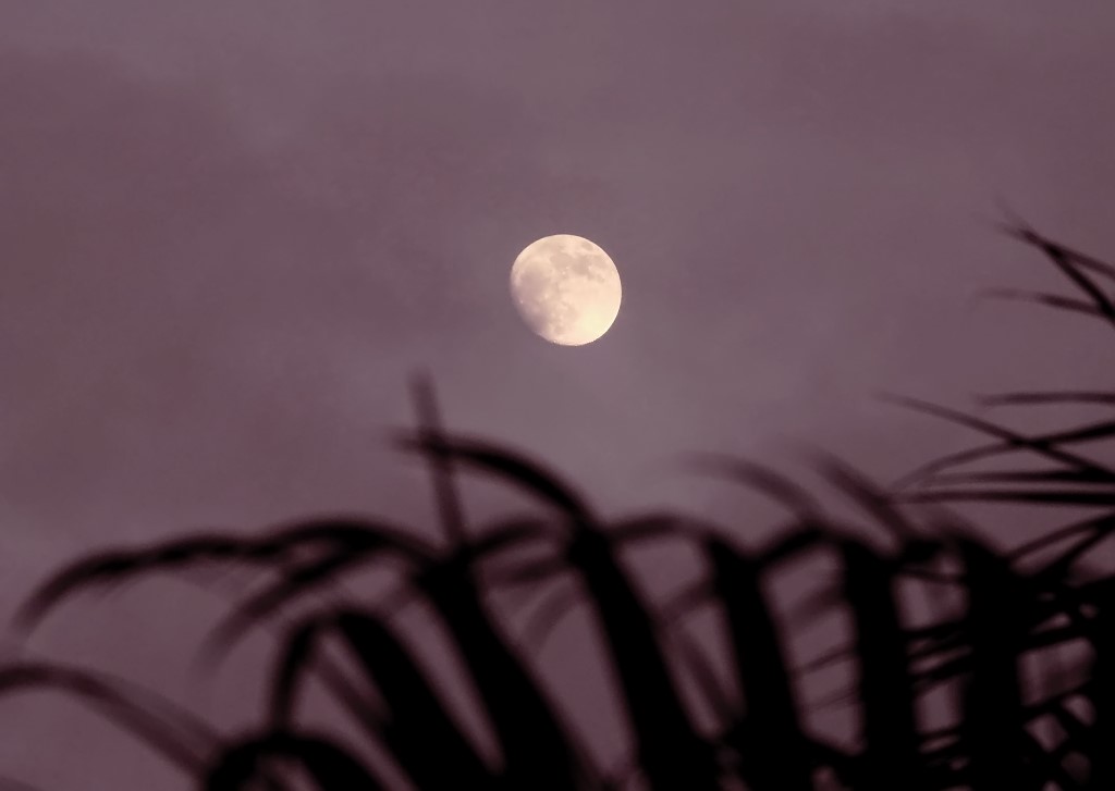 lune1310.jpg